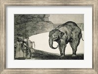 Framed Folly of Beasts, from the Follies series