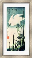 Framed White Heron and Iris