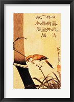 Framed Bird and Bamboo