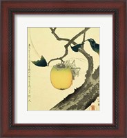 Framed Moon, Persimmon and Grasshopper, 1807