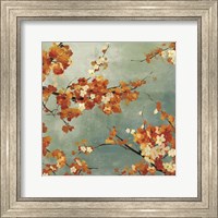 Framed Orange Blossoms II