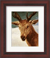 Framed Head of a Stag, 1634