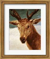 Framed Head of a Stag, 1634