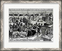 Framed 'The Barnum and Bailey Greatest Show On Earth' Curious Animals