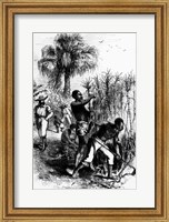 Framed Slaves Working on a Plantation