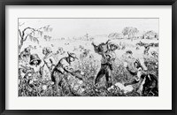 Framed Picking Cotton on a Southern Plantation