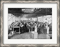 Framed One of the cigar manufacturing departments at Messrs Salmon and Gluckstein's Ltd