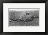 Framed Harvest of Death, Gettysburg, 1863