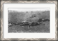 Framed Harvest of Death, Gettysburg, 1863