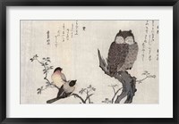 Framed Owl and two Eastern Bullfinches