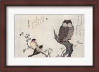 Framed Owl and two Eastern Bullfinches