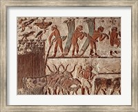 Framed Harvesting papyrus and a group of cows, Old Kingdom