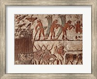 Framed Harvesting papyrus and a group of cows, Old Kingdom