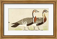 Framed Geese, from the Tomb of Nefermaat and Atet, Old Kingdom