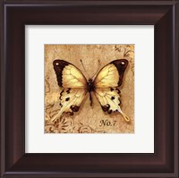 Framed Clair's Butterfly II