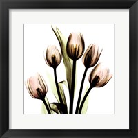 Framed Crystal Flowers X-Ray, Tulip Bouquet