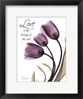 Framed Blackberry Tulips, Love