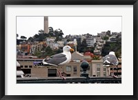 Framed San Francisco Seen From the Bay