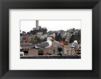 Framed San Francisco Seen From the Bay