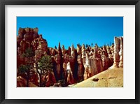 Framed Scenic Shot from Bryce Canyon National Park