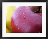 Framed Apple Closeup