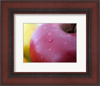 Framed Apple Closeup