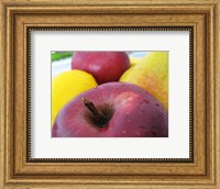 Framed Closeup of an Apple, Lemon and Pear