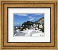 Framed Capri White Roof