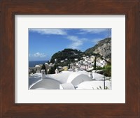 Framed Capri White Roof