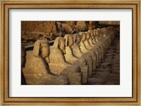 Framed Avenue of the Sphinxes Karnak Temple Luxor Egypt