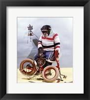 Framed Bicycle Assembly
