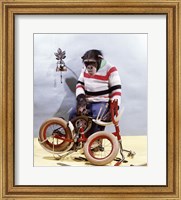 Framed Bicycle Assembly