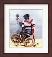 Framed Bicycle Assembly