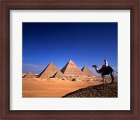 Framed Riding a camel near pyramids, Giza Pyramids, Giza, Egypt