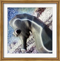 Framed Profile of playground seahorse