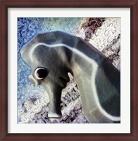 Framed Profile of playground seahorse