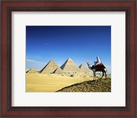 Framed Man riding a camel near the pyramids, Giza, Egypt