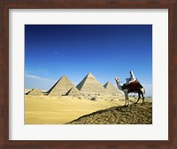 Framed Man riding a camel near the pyramids, Giza, Egypt