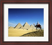 Framed Man riding a camel near the pyramids, Giza, Egypt