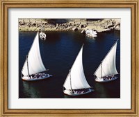 Framed Sailboats in a river, Nile River, Aswan, Egypt