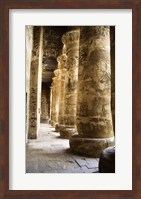 Framed Hieroglyphics,Temples of Karnak, Luxor, Egypt