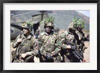 Framed Camouflage, U.S. Marines