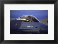 Framed General Dynamics F-16 Falcon Jet Fighter Closeup