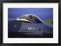 Framed General Dynamics F-16 Falcon Jet Fighter Closeup