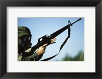 Framed Marksman M-16 Rifle