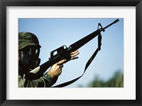 Framed Marksman M-16 Rifle