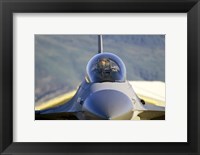 Framed F-16 Fighter Jet US Air Force