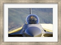 Framed F-16 Fighter Jet US Air Force