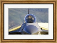 Framed F-16 Fighter Jet US Air Force