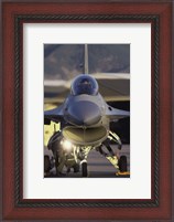 Framed General Dynamics F-16 Falcon Jet Fighter Nose